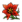Βαθυκόκκινο Λουλούδι.png