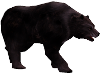 Μαύρη Αρκούδα (Επίπεδο 6).png