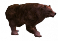 Καταραμένη Αρκούδα.png